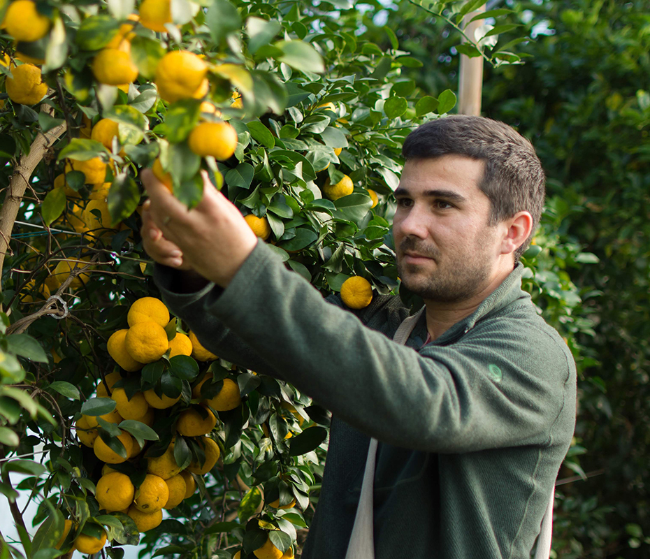 La parole aux producteurs