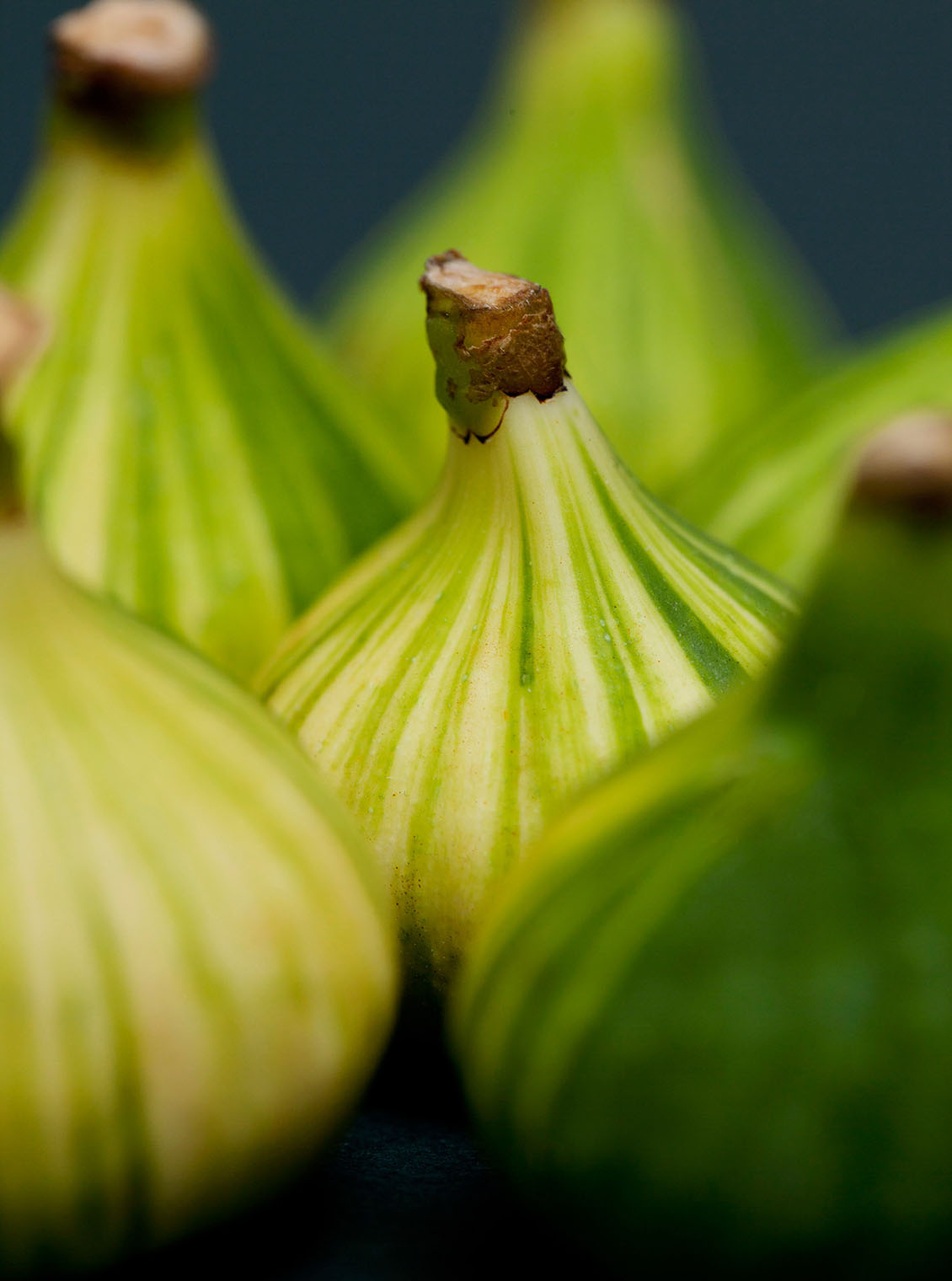 Des figues d'exception