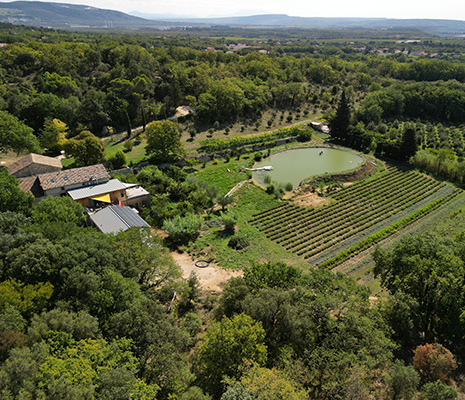 La parole aux producteurs
