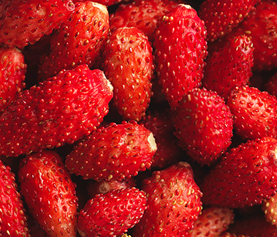 Fruits Rouges