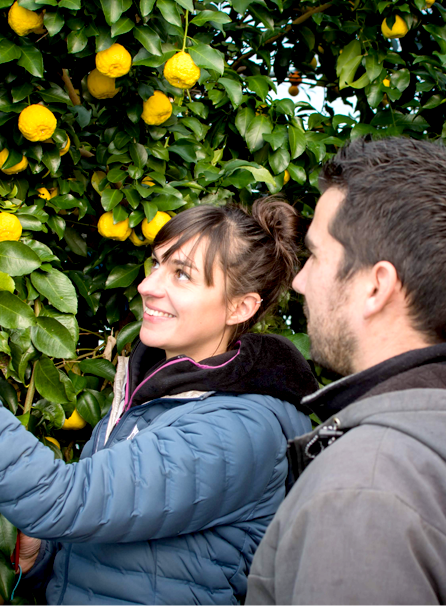 Perrine & Étienne Schaller, producteurs d’agrumes