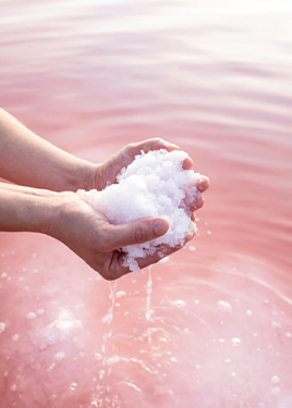 La fleur de sel,  Le Saunier de Camargue